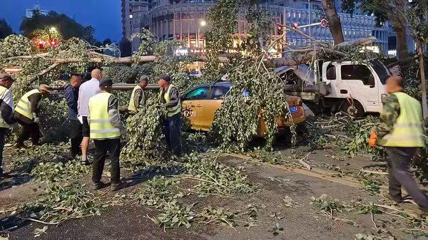 黑龙江遭遇极端大风灾害,国家减灾办派工作组赶赴一线督导救灾安置