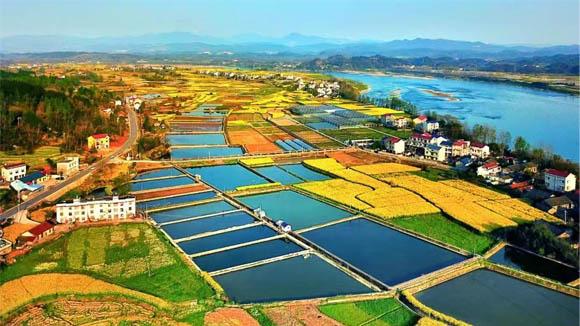泸溪五果溜村：党建领航三水融合，国家级示范村走出富民兴村新路径
