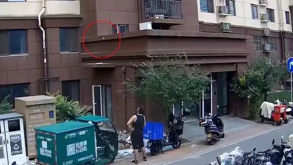 九楼六次抛掷变质水果!高空抛物并非小事,轻则违法、重则入刑