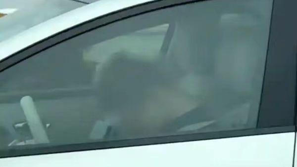 不该发生的事已然上演 高速智驾模式下睡觉暗藏重大交通安全隐患
